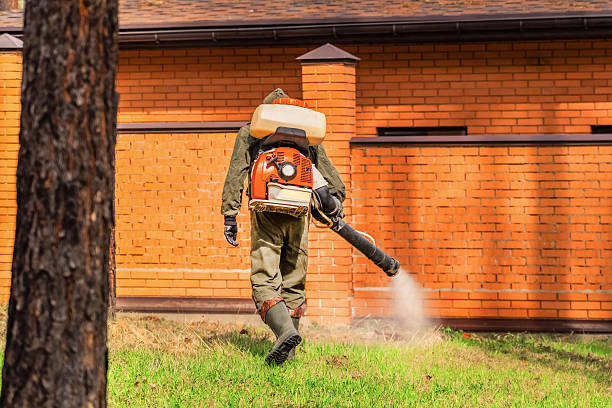 Trusted Fumigation Services service in Pinetop Country Club, AZ - Nex Pest Control